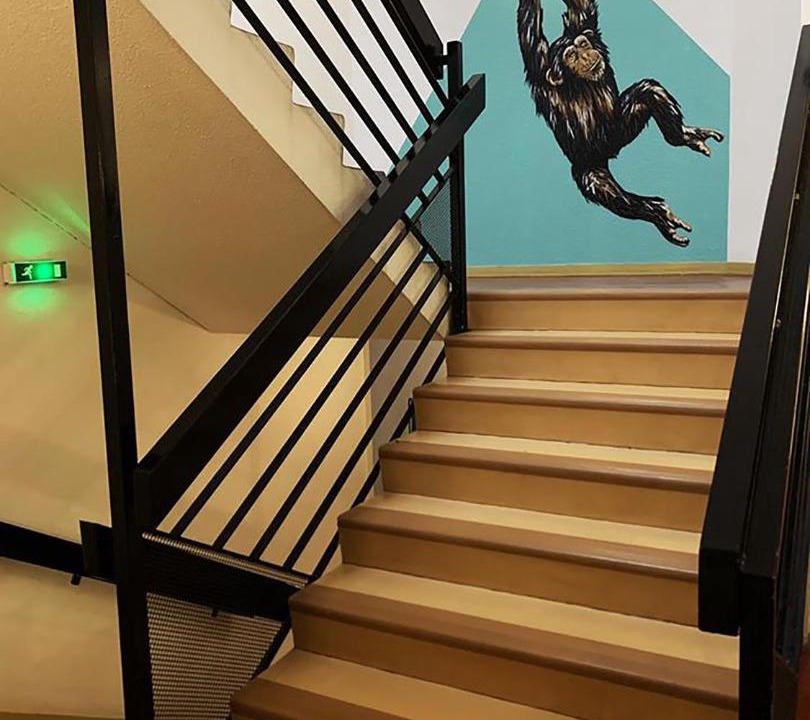 Photo of Others in Saint-Michel - Nansouty - Saint-Genes