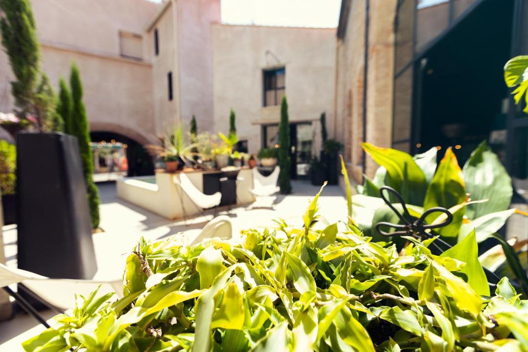 Photo of Others in Thuir