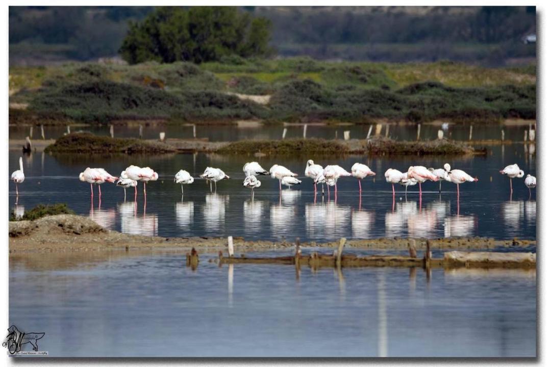 Photo of Others in La Palme