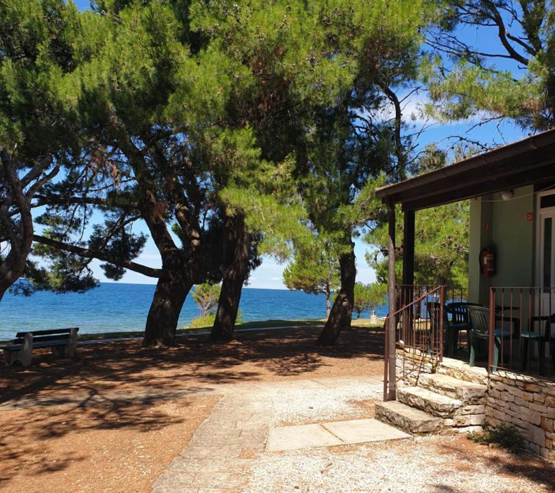 Photo of Others in Novigrad