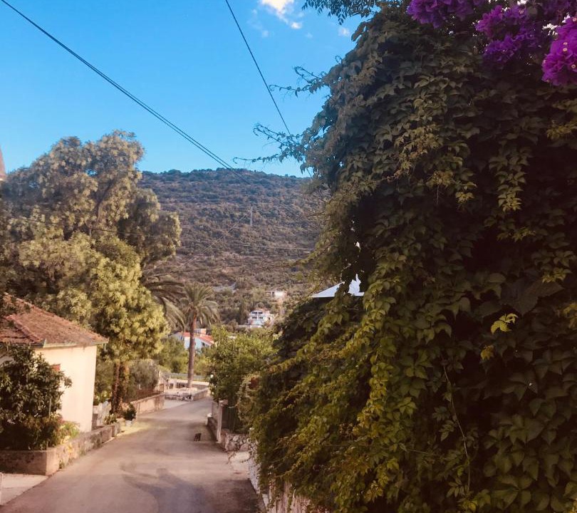 Photo of Outdoor in Trpanj