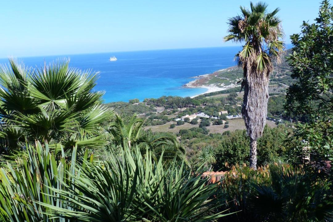 Photo of Outdoor in Corbara