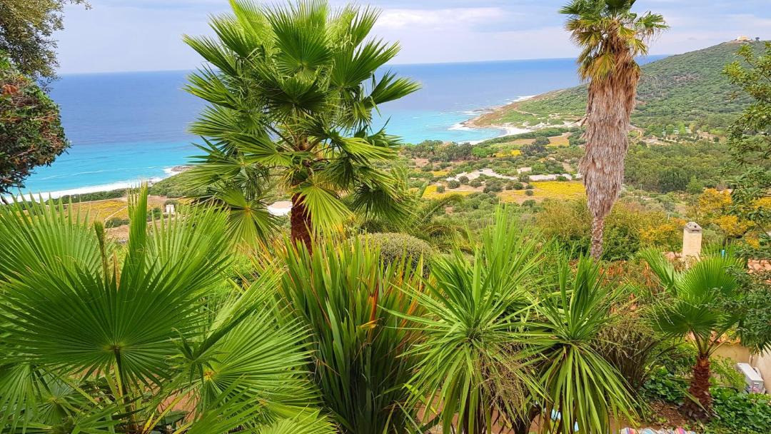 Photo of Outdoor in Corbara