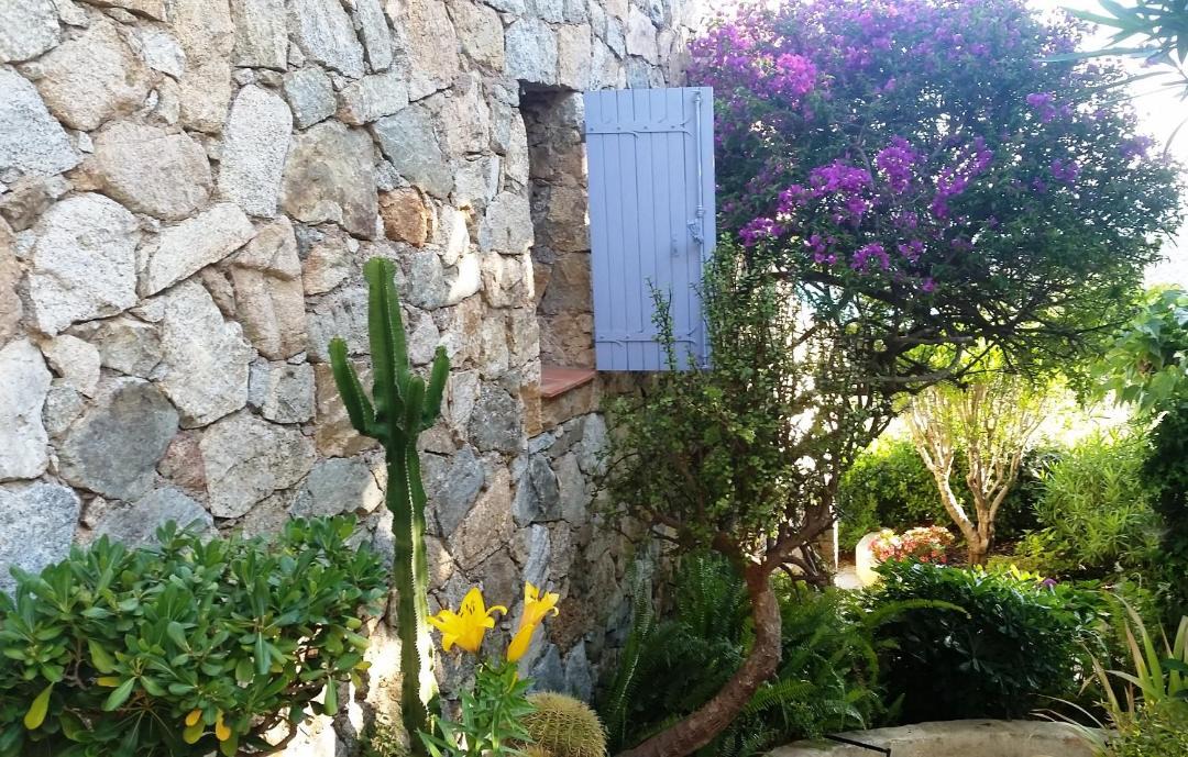 Photo of Buildings in Corbara