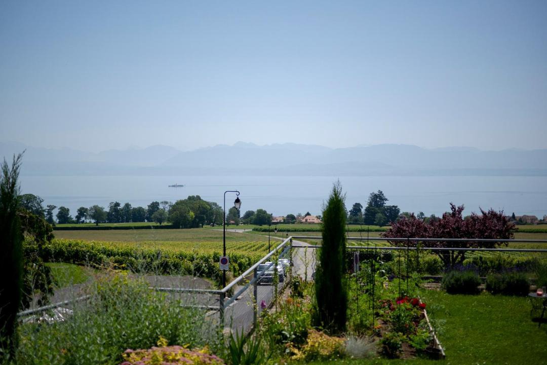 Photo of Others in Bursinel