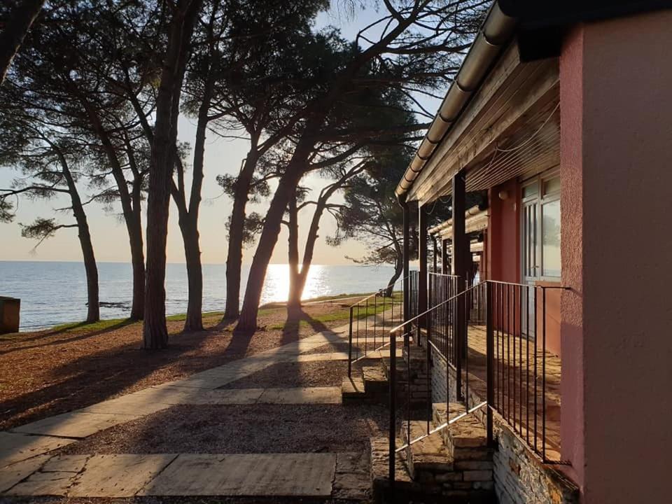 Photo of Others in Novigrad