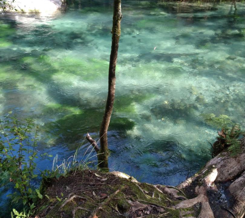 Photo of Others in Kawerau