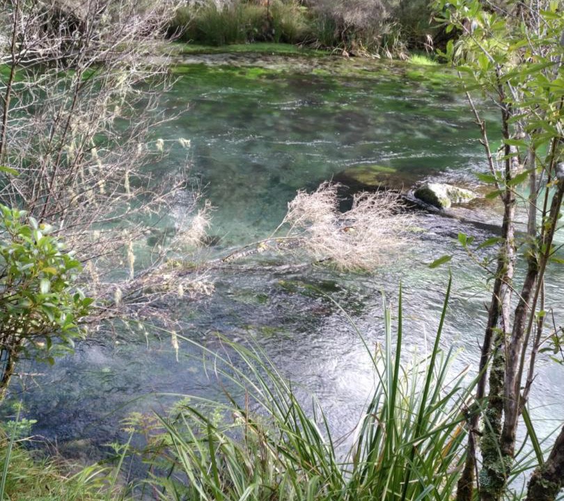 Photo of Others in Kawerau