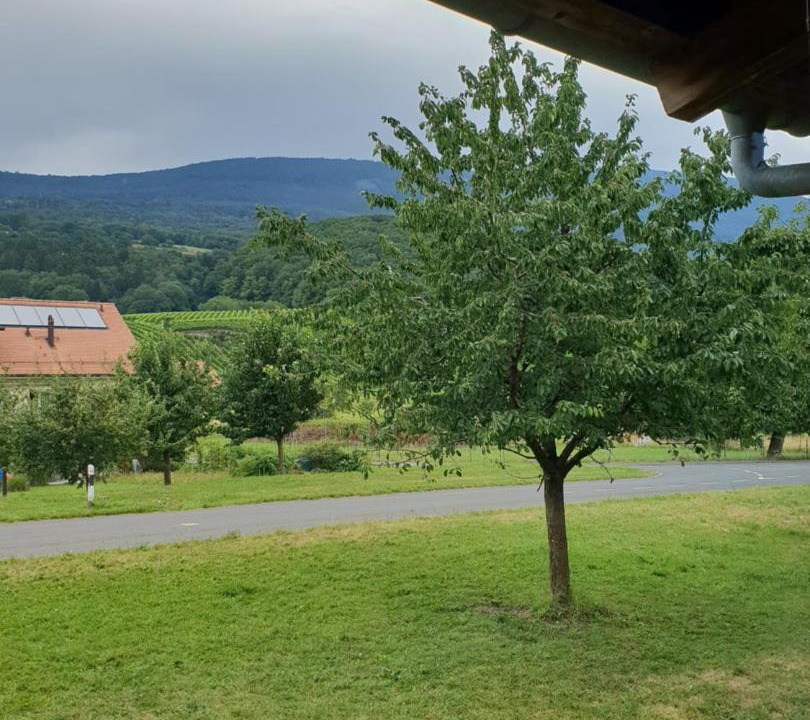Photo of Others in Bonvillars