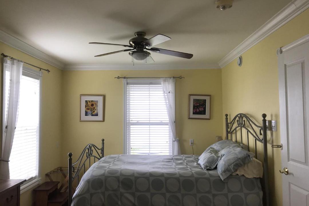 Photo of Others in Maitland