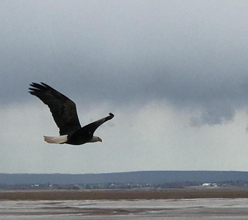 Photo of Others in Maitland