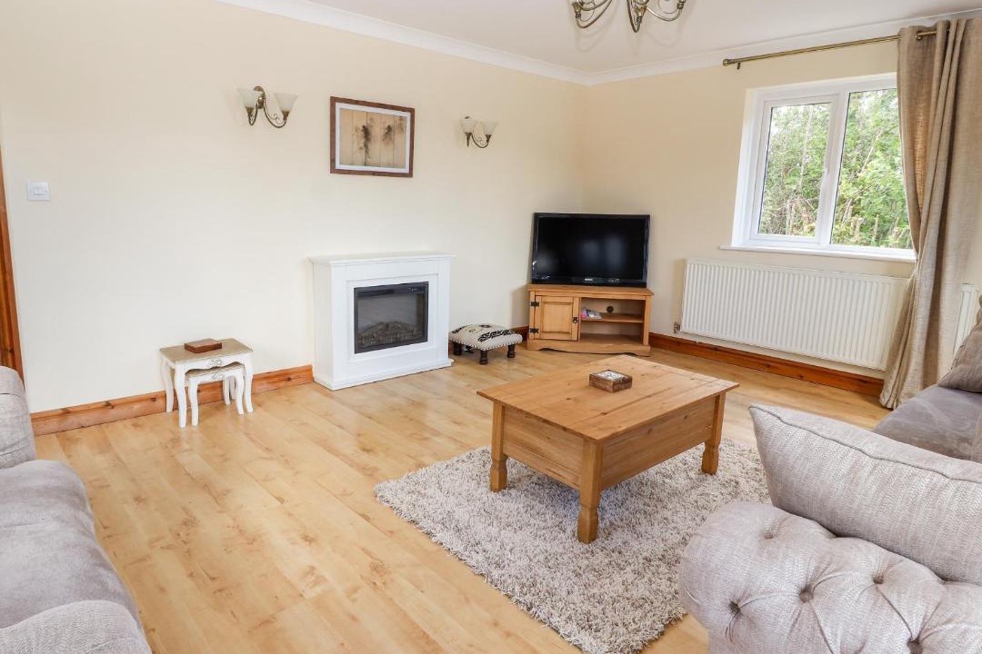 Photo of Livingroom in Denbigh