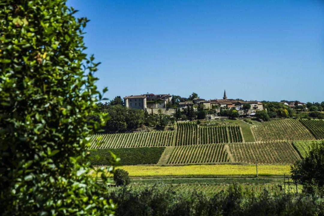 Photo of Others in Senouillac