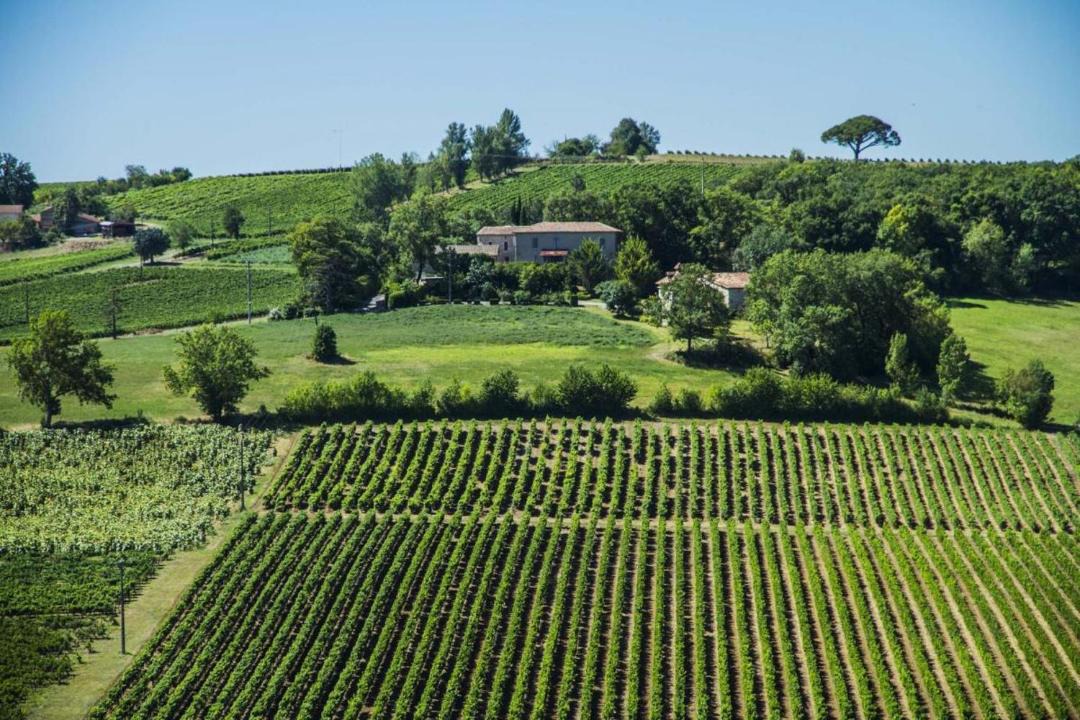 Photo of Others in Senouillac