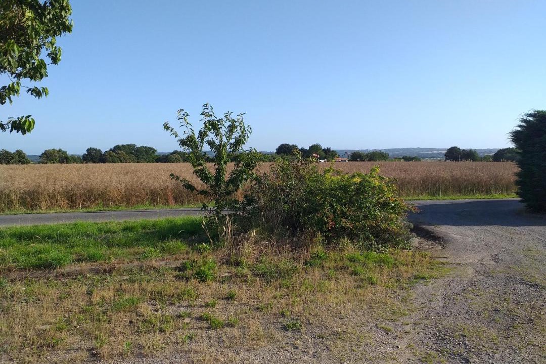 Photo of Outdoor in La Chapelle-de-Brain