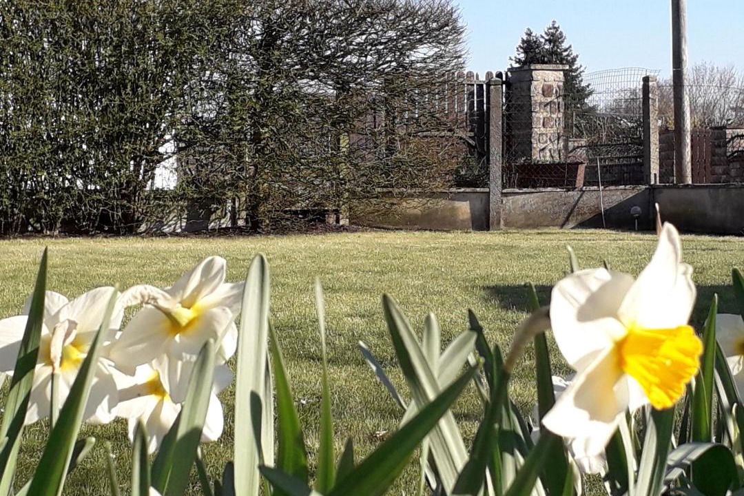 Photo of Others in Le Nouvion-en-Thierache