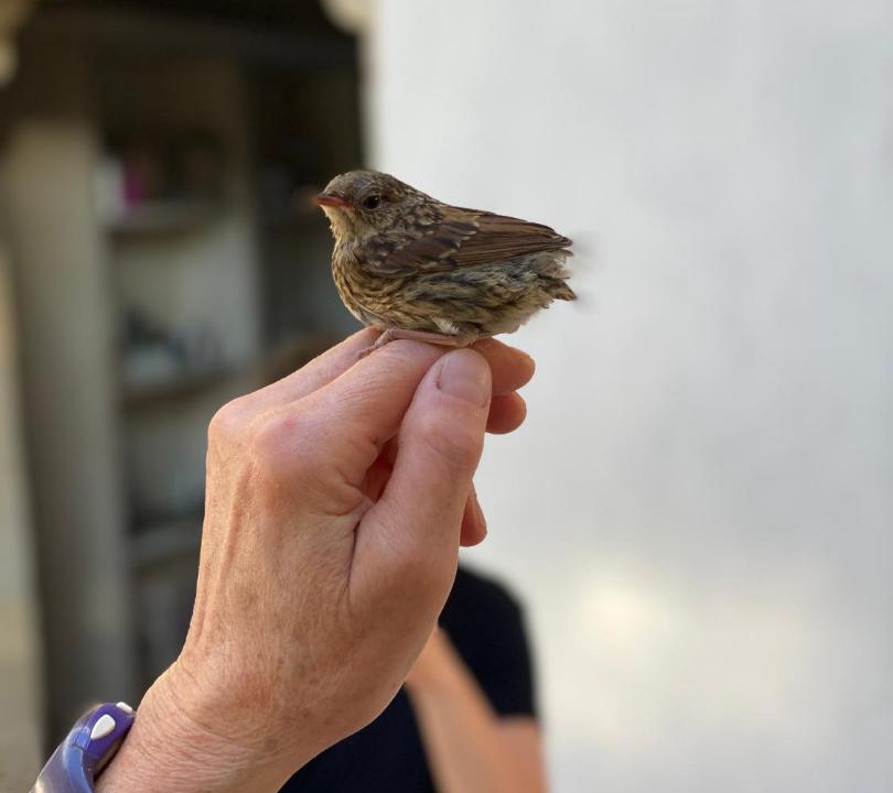 Photo of Others in Valleres