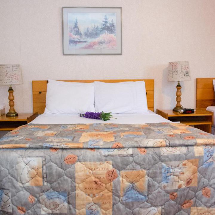 Photo of Others in Roddickton