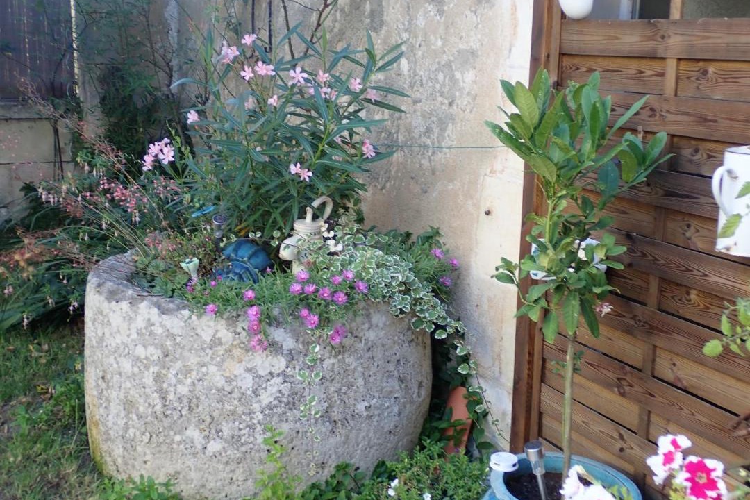 Photo of Others in Mirambeau