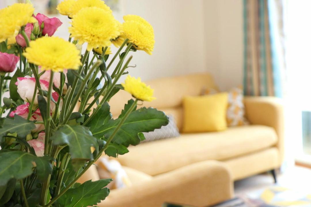 Photo of Others in Treyarnon