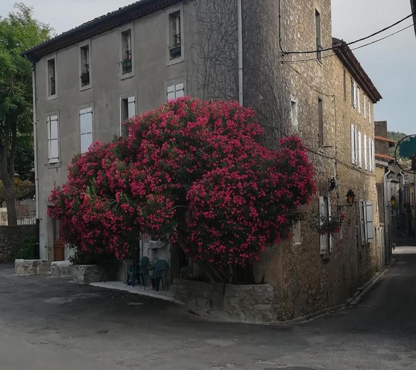 Photo of Others in Lagrasse