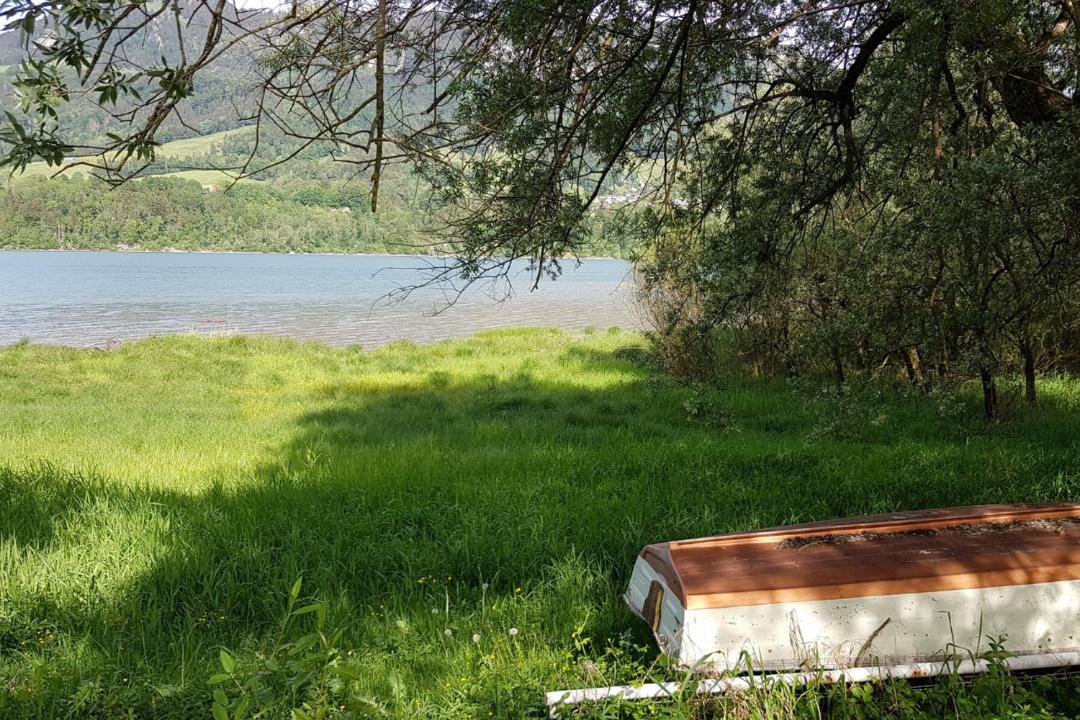 Photo of Others in Morlon