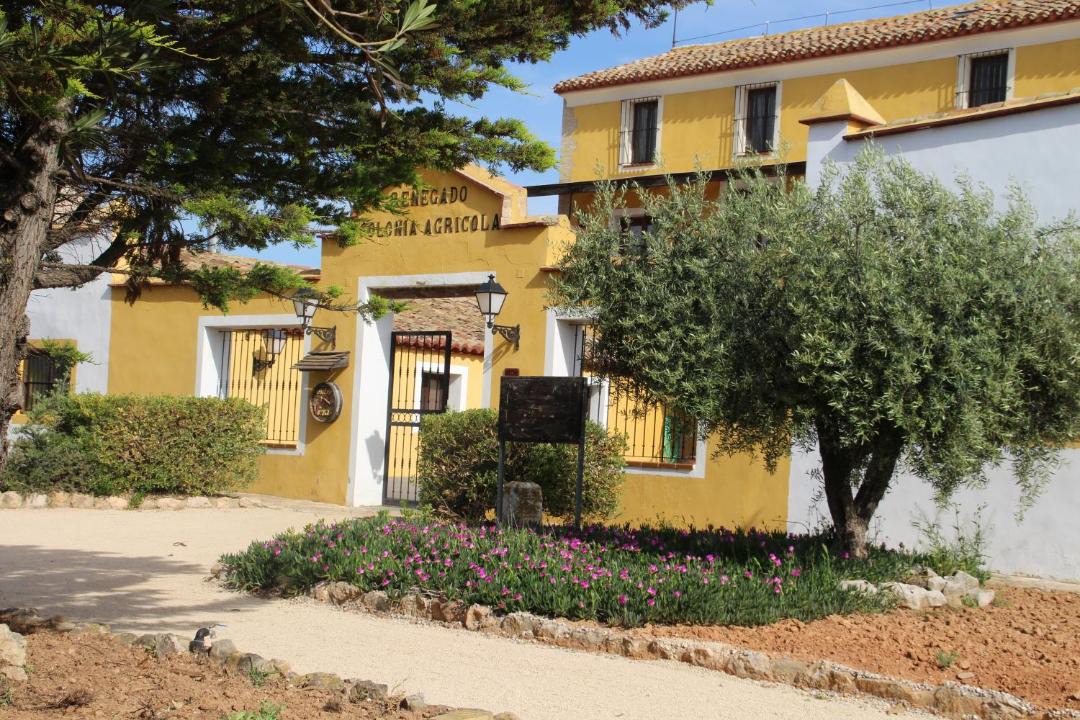 Photo of Others in Caudete de las Fuentes