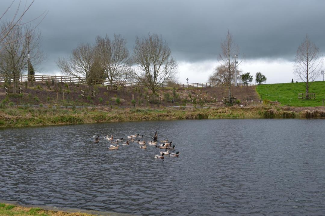 Photo of Others in Matamata