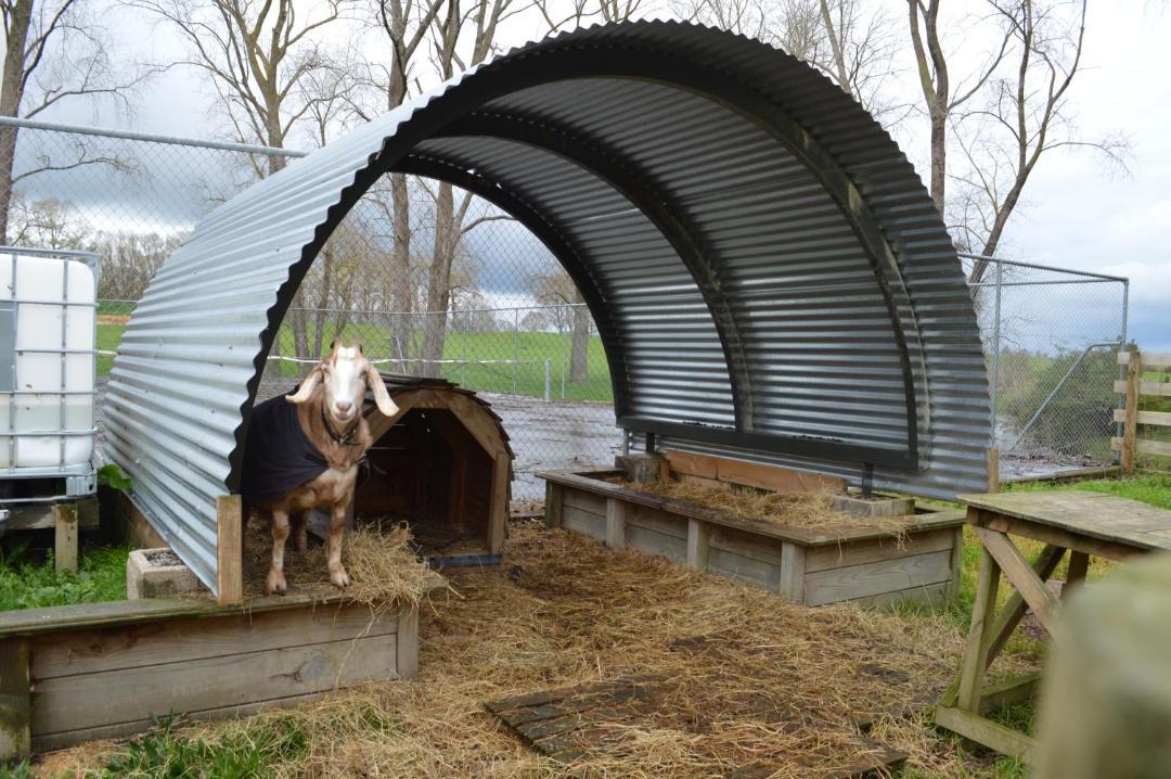 Photo of Others in Matamata