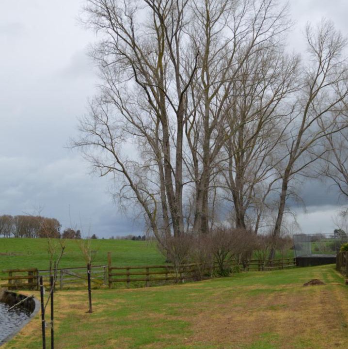 Photo of Others in Matamata