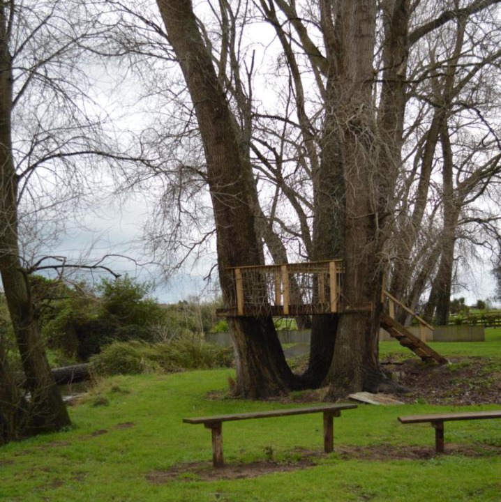 Photo of Others in Matamata