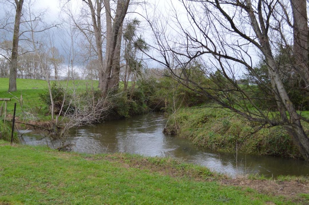 Photo of Others in Matamata