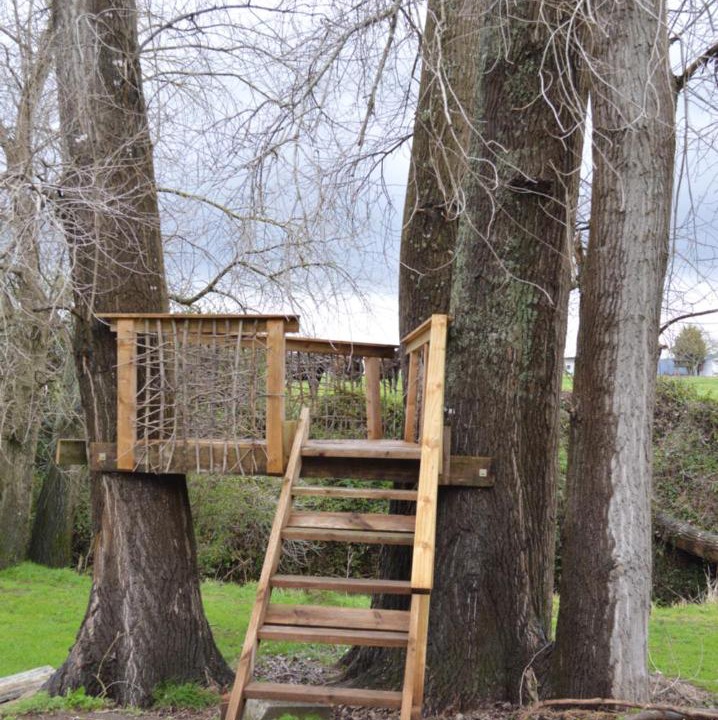 Photo of Others in Matamata