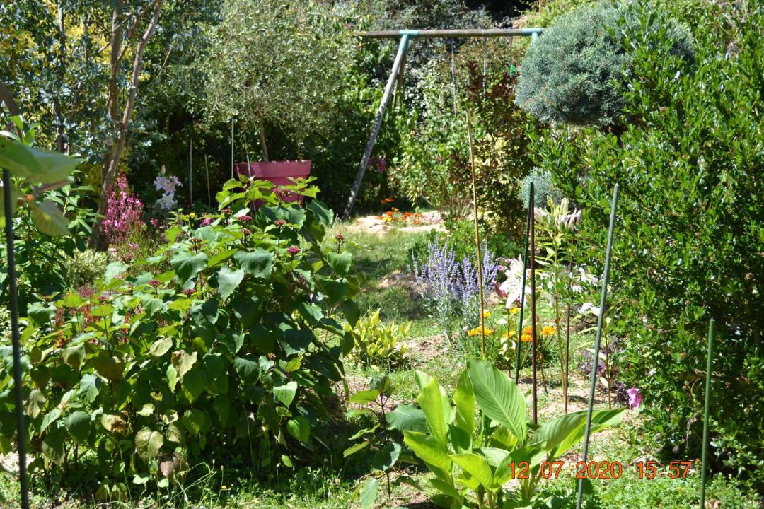 Photo of Others in Brissac-Quince