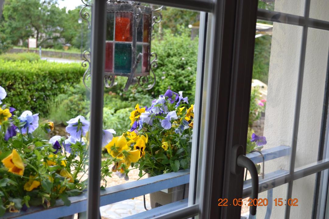 Photo of Others in Brissac-Quince