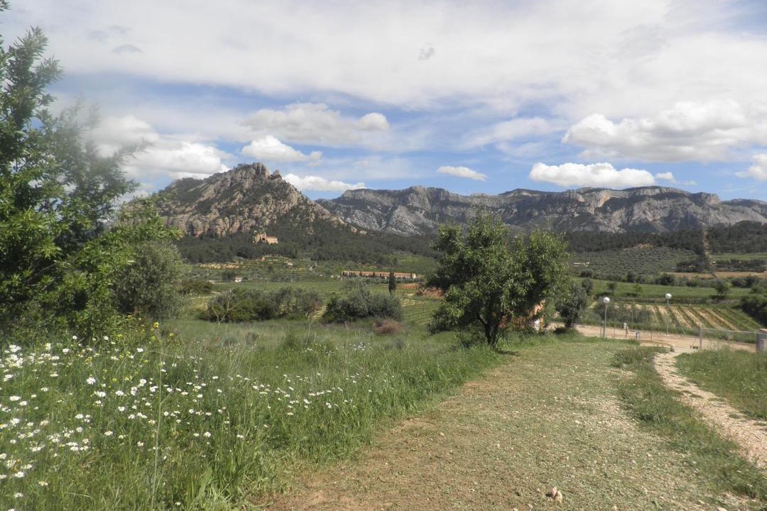 Photo of Others in Horta de Sant Joan