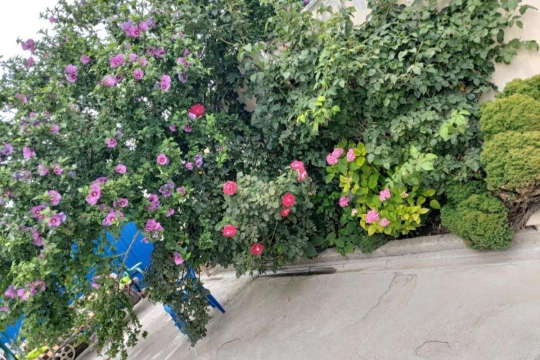 Photo of Others in Anapa