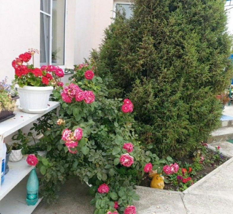 Photo of Others in Anapa