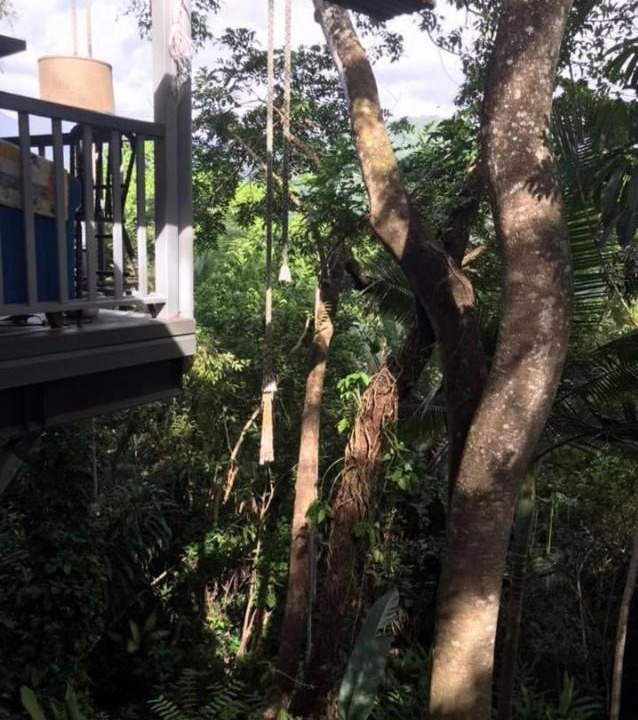 Photo of Others in Mossman