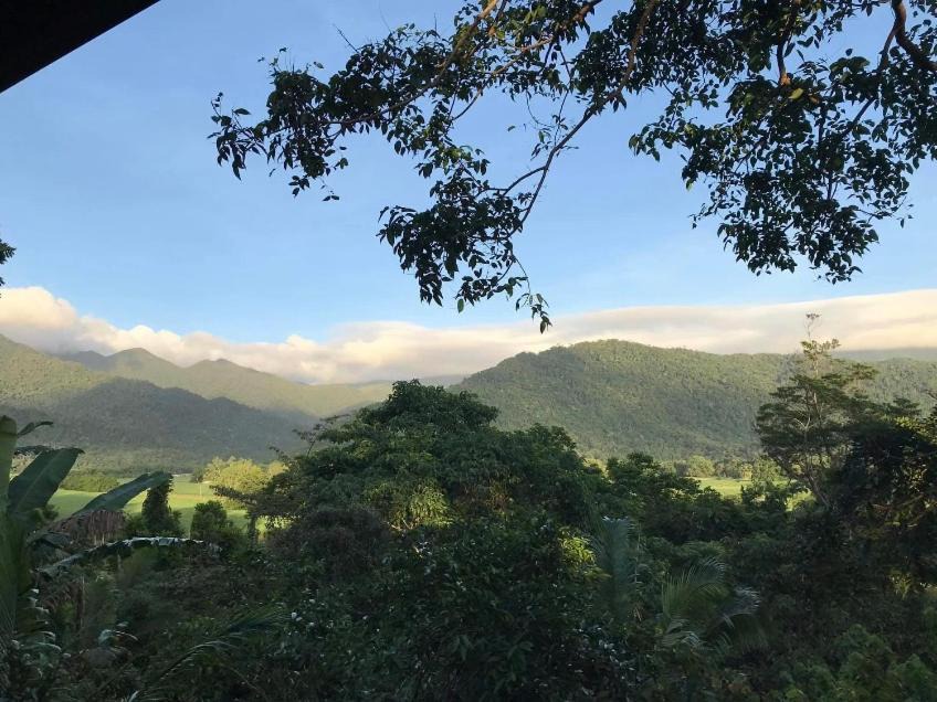 Photo of Others in Mossman