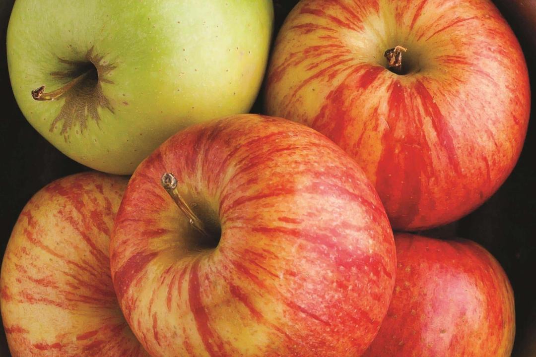 Photo of Others in Southwest Berkeley