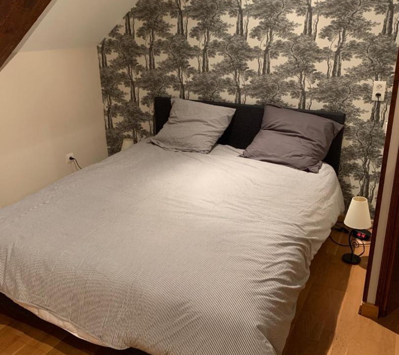 Photo of Bedroom in Saint-Sauveur-en-Puisaye