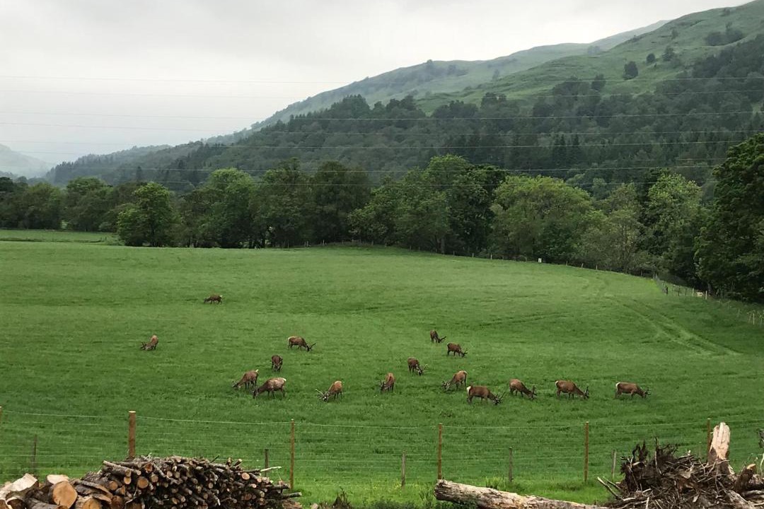 Photo of Others in Killin