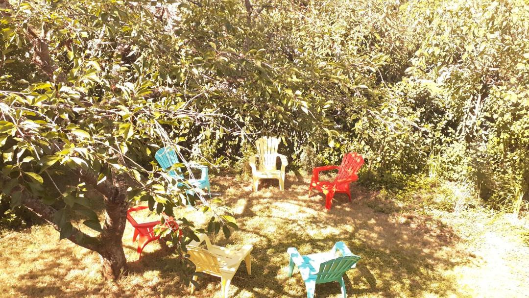 Photo of Outdoor in Colmar