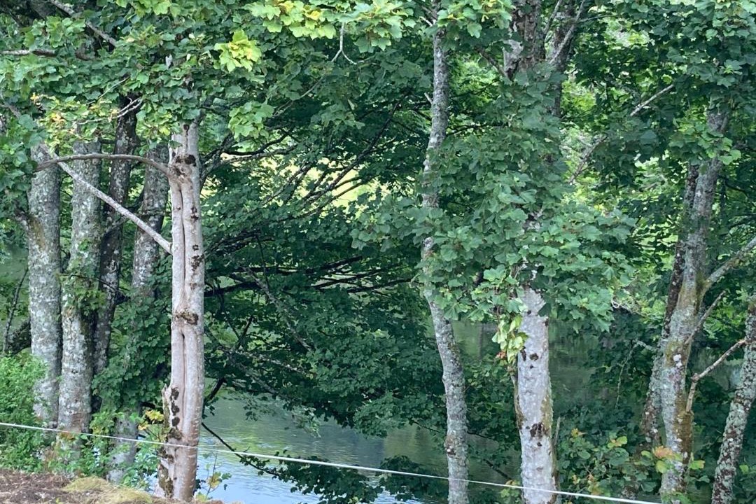 Photo of Others in Killin