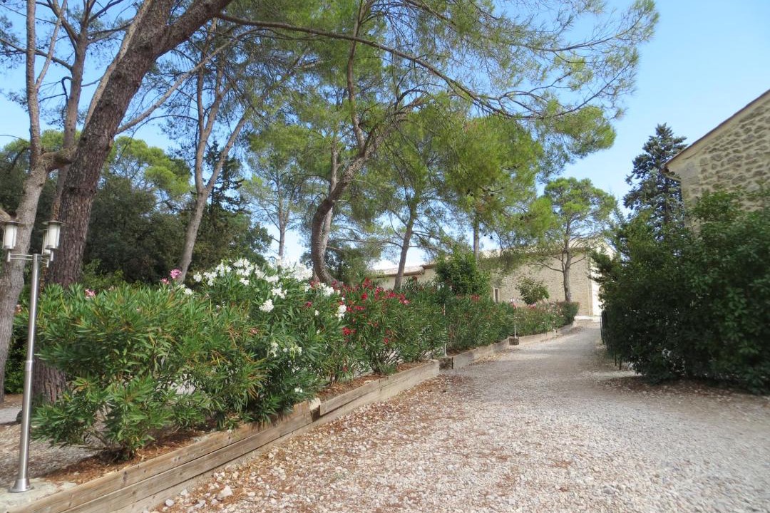 Photo of Others in Sommieres