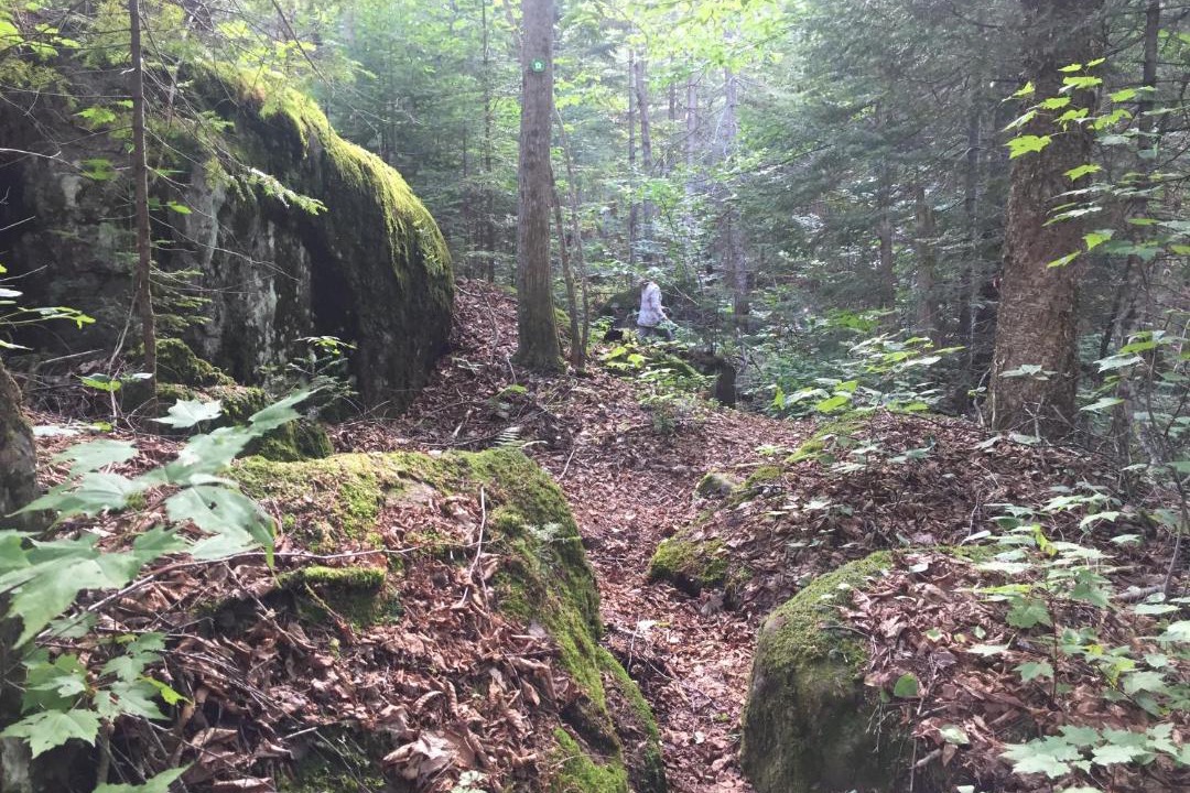 Photo of Outdoor in Val-des-Lacs