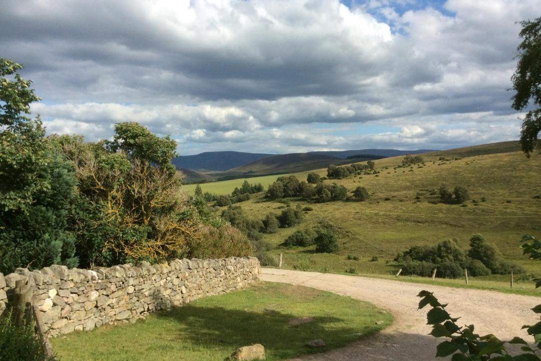 Photo of Others in Glenlivet