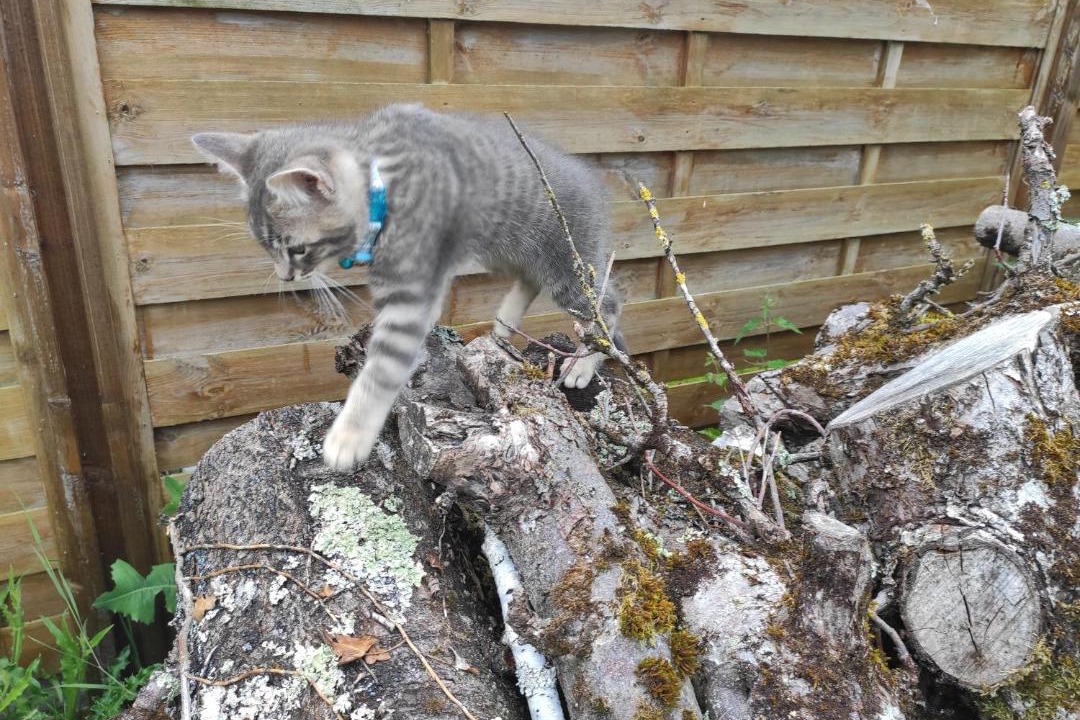 Photo of Outdoor in Semblancay