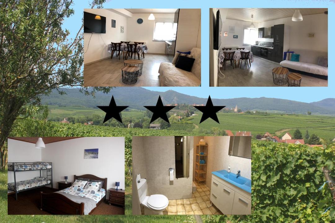 Photo of Others in Mittelwihr